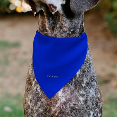 Show full view: Buckle-Down DC Comics Superman Shield Logo Dog Bandana slide 6 of 7