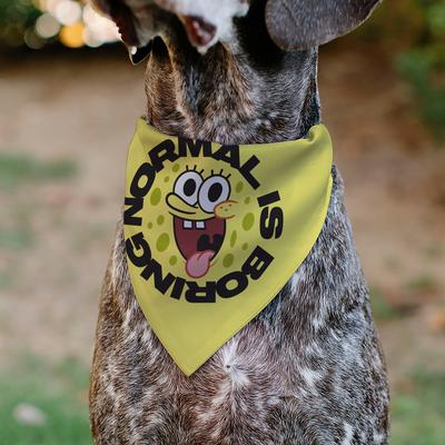 Show full view: Buckle-Down Spongebob Squarepants Normal Is Boring Pose Dog Bandana slide 4 of 6