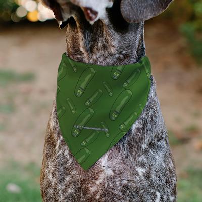 Show full view: Buckle-Down Rick & Morty Pickle Rick Pose Dog Bandana slide 5 of 6