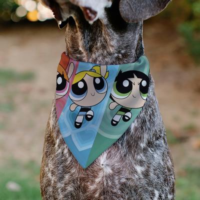 Show full view: Buckle-Down Powerpuff Girls Flight Pose Dog Bandana slide 4 of 6