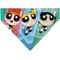 Show in main carousel: Buckle-Down Powerpuff Girls Flight Pose Dog Bandana slide 1 of 6