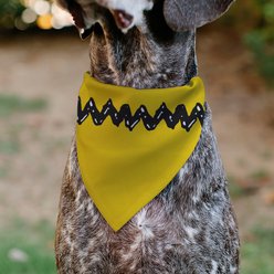 Buckle-Down Peanuts Charlie Brown Zig Zag Stripe Dog Bandana slide 2 of 6