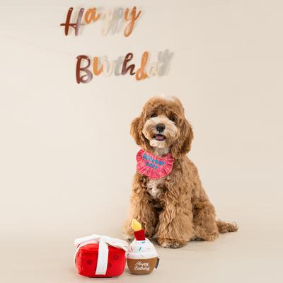 Show full view: CHEWFFON Cupcake Hide & Seek Squeaky Dog Toy, Brown slide 6 of 7