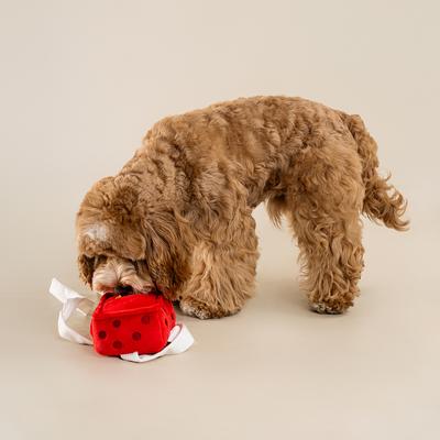Show full view: CHEWFFON Gift Box Enrichment Snuffle Squeaky Crinkle Dog Plush Toy, Red slide 5 of 6