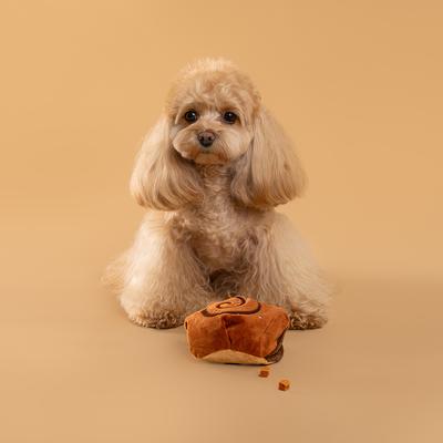 Show full view: CHEWFFON Cinnamon Roll Enrichment Snuffle Crinkle Dog Toy, Brown slide 5 of 6
