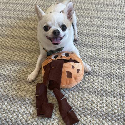 Show full view: CHEWFFON Cookie Enrichment Crinkle Puzzle Dog Plush Toy, Brown slide 5 of 6