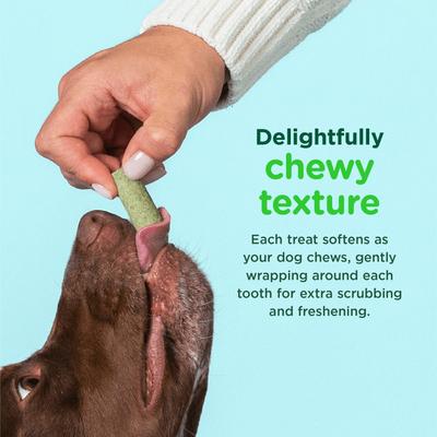 Show full view: Minties FreshBites Soft & Chewy Dog Dental Treats, 100 count slide 6 of 11