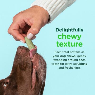 Show full view: Minties FreshBites Soft & Chewy Dog Dental Treats, 100 count slide 6 of 12