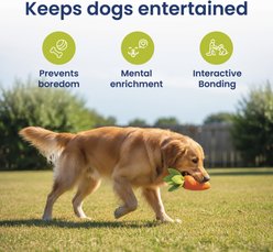 PawsPik Carrot Natural Rubber Dog Chew Toy, Orange, Medium slide 2 of 9