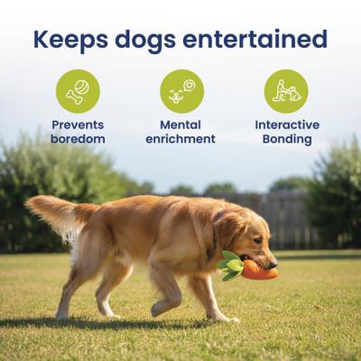 Show full view: PawsPik Carrot Natural Rubber Dog Chew Toy, Orange, Medium slide 8 of 11