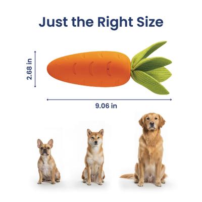 Show full view: PawsPik Carrot Natural Rubber Dog Chew Toy, Orange, Medium slide 9 of 11