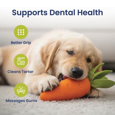 Show full view: PawsPik Carrot Natural Rubber Dog Chew Toy, Orange, Medium slide 6 of 11