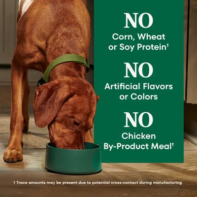 Show full view: Nutro Natural Choice Adult Large Breed Chicken & Brown Rice Recipe Dry Dog Food, 22-lb bag slide 9 of 11