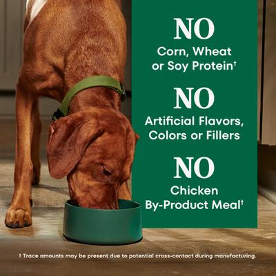 Show full view: Nutro Natural Choice Adult Lamb & Brown Rice Recipe Dry Dog Food, 12-lb bag slide 9 of 11