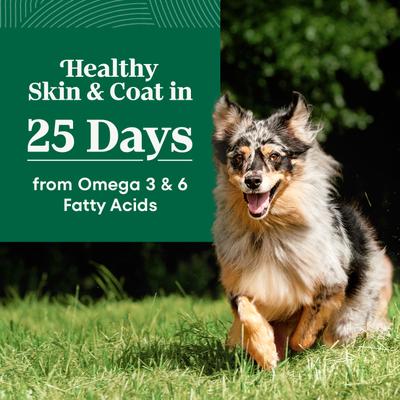 Show full view: Nutro Natural Choice Adult Lamb & Brown Rice Recipe Dry Dog Food, 12-lb bag slide 4 of 11