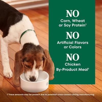 Show full view: Nutro Natural Choice Puppy Chicken & Brown Rice Recipe Dry Dog Food, 13-lb bag slide 9 of 11