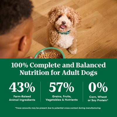 Show full view: Nutro Natural Choice Adult Small Bites Chicken & Brown Rice Recipe Dry Dog Food, 30-lb bag slide 10 of 11