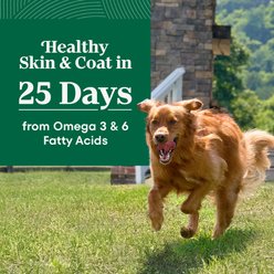 Nutro Natural Choice Adult Large Breed Lamb & Brown Rice Recipe Dry Dog Food, 30-lb bag slide 2 of 9
