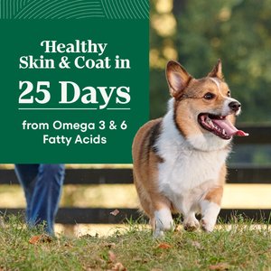 Nutro Natural Choice Adult Small Bites Lamb & Brown Rice Recipe Dry Dog Food, 30-lb bag