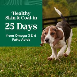 Nutro Natural Choice Puppy High Protein Lamb & Brown Rice Recipe Dry Dog Food, 4.5-lb bag slide 2 of 9