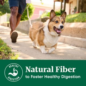 Nutro Natural Choice Senior Chicken & Brown Rice Recipe Dry Dog Food, 30-lb bag