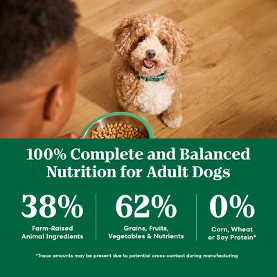Show full view: Nutro Natural Choice Adult Small Bites Lamb & Brown Rice Recipe Dry Dog Food, 30-lb bag slide 10 of 11
