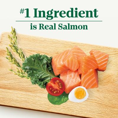 Show full view: Nutro Natural Choice Adult Small Bites High Protein Salmon & Brown Rice Recipe Dry Dog Food, 28-lb bag slide 5 of 10