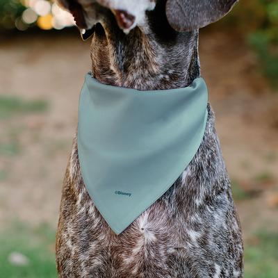 Show full view: Buckle-Down Disney Moana Standing Pose & Plants Dog Bandana slide 5 of 7