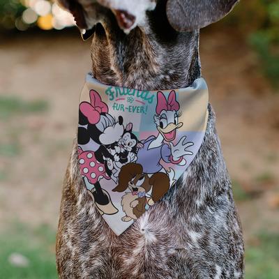 Show full view: Buckle-Down Disney Minnie Mouse Daisy Duck with Figaro & Fifi Friends Fur Ever Dog Bandana slide 4 of 6