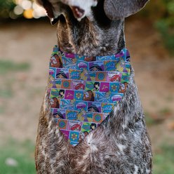 Buckle-Down Disney Disney Princess Pose & Quote Pop Art Blocks Dog Bandana slide 2 of 6