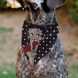Buckle-Down Betty Boop Hands On Knees Pose Dog Bandana slide 2 of 6
