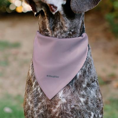 Show full view: Buckle-Down Disney Toy Story Jessie Heck Yes Pose Dog Bandana slide 6 of 7