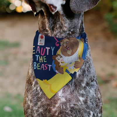 Show full view: Buckle-Down Disney Beauty & the Beast Belle Dancing Pose Dog Bandana slide 4 of 6