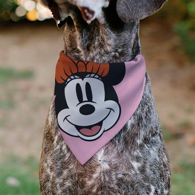 Show full view: Buckle-Down Disney Minnie Mouse Smiling Face Close Up Dog Bandana slide 4 of 6