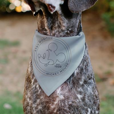 Show full view: Buckle-Down Disney Mickey Mouse Stay Positive Dog Bandana slide 4 of 6