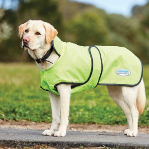 WeatherBeeta ComFiTec Windbreaker 420D Deluxe Dog Coat, Yellow/Black, 26-in