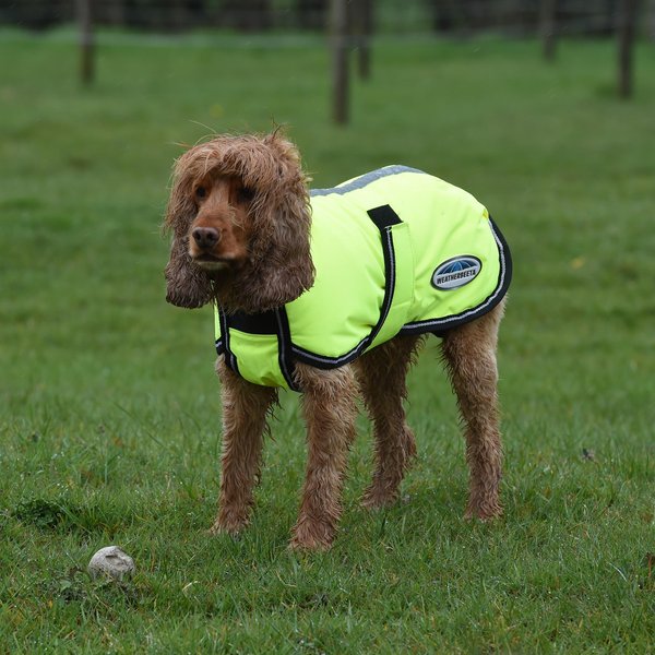 Show full view: WeatherBeeta ComFiTec Reflective Parka 300D Deluxe Dog Coat, Yellow, 22-in slide 2 of 3