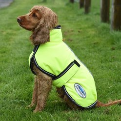 WeatherBeeta ComFiTec Reflective Parka 300D Deluxe Dog Coat, Yellow, 18-in
