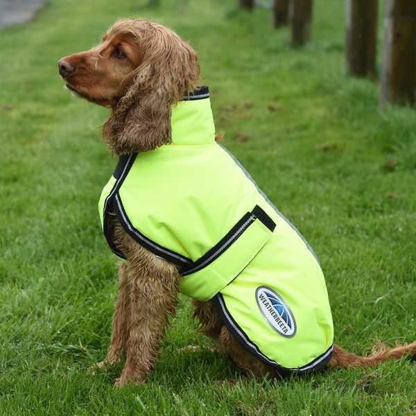 Show full view: WeatherBeeta ComFiTec Reflective Parka 300D Deluxe Dog Coat, Yellow, 22-in slide 1 of 3