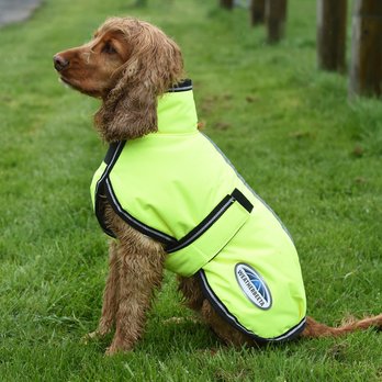 Cyber Week Deals on Dog Clothing Page 12 (Free Shipping) Chewy