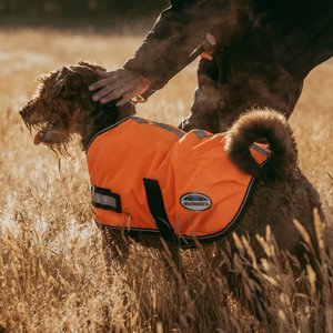 WeatherBeeta ComFiTec Reflective Parka 300D Dog Coat, Orange, 22-in
