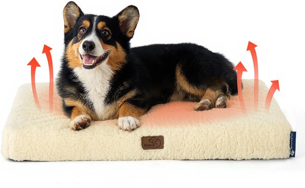 Show full view: Bedsure Self Warming Orthopedic Dog & Cat Bed, Cream, Medium slide 1 of 7