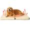 Show in main carousel: Bedsure Self-Warming Orthopedic Waterproof Sherpa & Oxford Fabric Removable Cover Dog Bed, Cream, X-Large slide 1 of 9