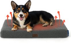 Bedsure Self Warming Orthopedic Dog & Cat Bed, Ashen Grey, Medium
