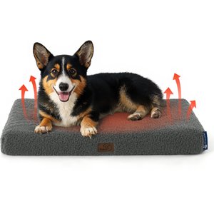 Bedsure Self Warming Orthopedic Dog & Cat Bed, Ashen Grey, Medium