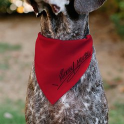 Buckle-Down Disney Mickey Mouse Face Character Close Up Dog Bandana slide 2 of 7