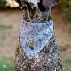 Buckle-Down Disney Winnie the Pooh Balloon Pose & Foliage Collage Dog Bandana slide 2 of 6