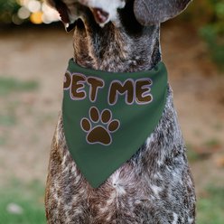 Buckle-Down Pet Me Text & Paw Olive Dog Bandana slide 2 of 7