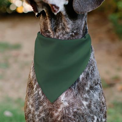 Show full view: Buckle-Down Pet Me Text & Paw Olive Dog Bandana slide 6 of 7