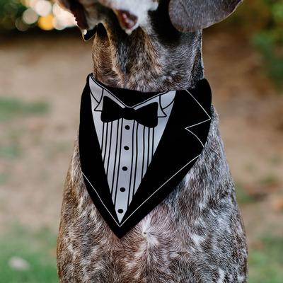 Show full view: Buckle-Down Tuxedo Shirt Print Dog Bandana slide 4 of 7